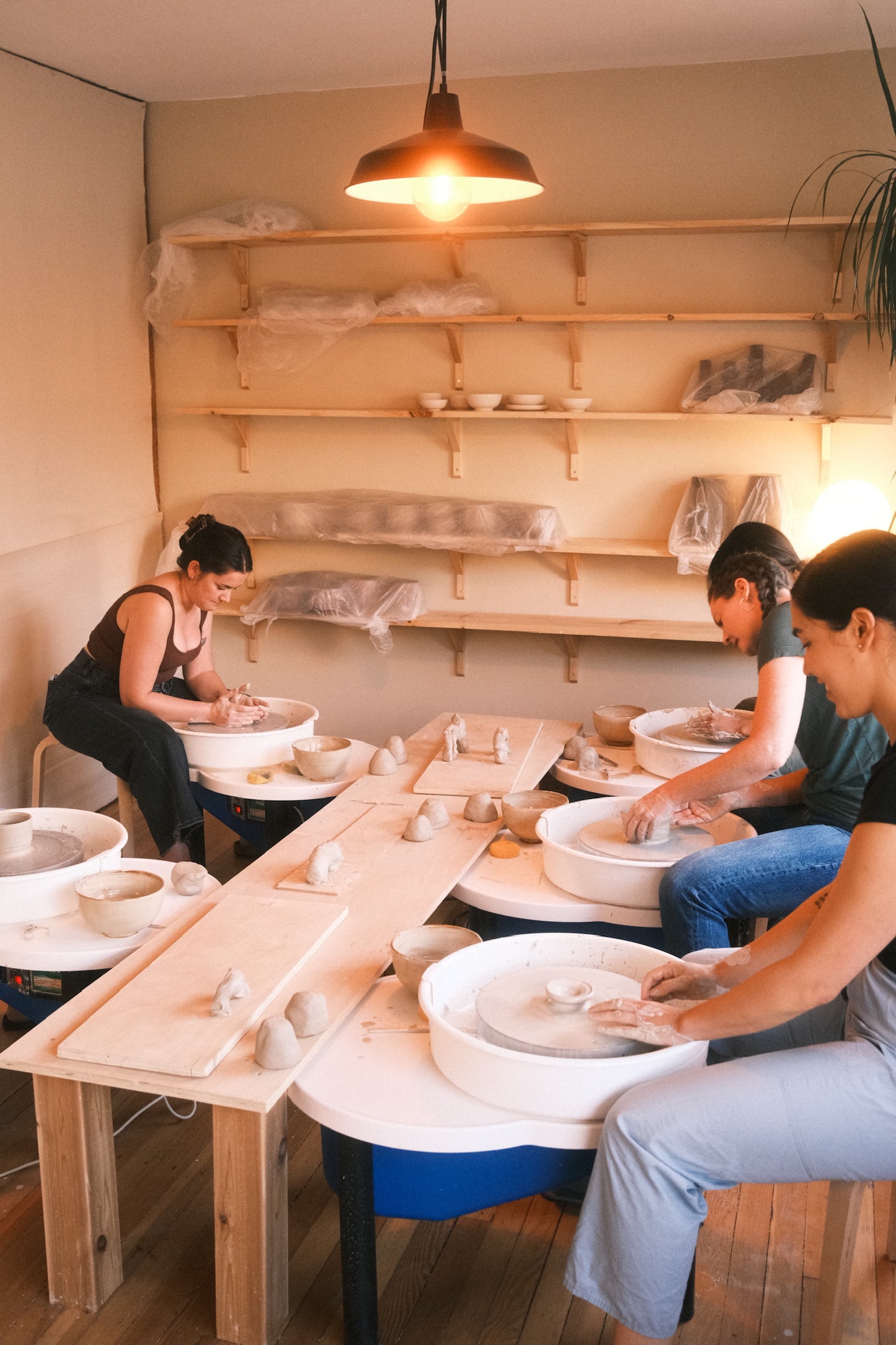 Beginner Wheel (6-Week Class)