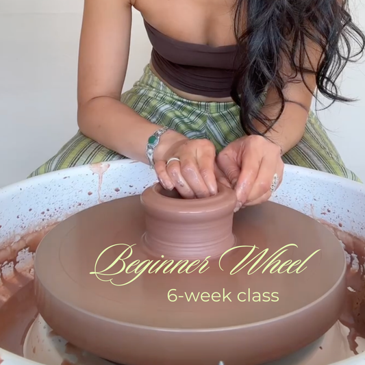 Beginner Wheel (6-Week Class)
