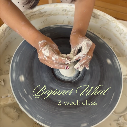 Beginner Wheel (3-Week Class)